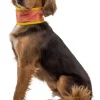 RuffWear Swamp Cooler Neck Gaiter koirien viilennyskauluri Fashion