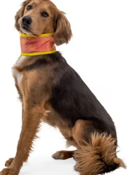 RuffWear Swamp Cooler Neck Gaiter koirien viilennyskauluri Fashion