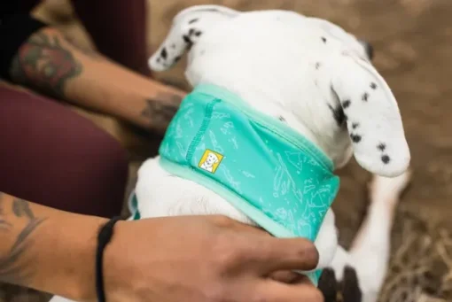 Swamp Cooler Neck Gaiter koirien viilennyskauluri-RuffWear Outlet