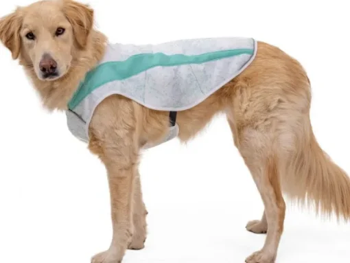 RuffWear Swamp Cooler Vest Graphite Gray Online