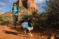 RuffWear Swamp Cooler Vest Graphite Gray Online