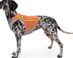 RuffWear Swamp Cooler Zip Vest koiran viilentävä liivi Clearance