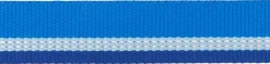 RuffWear Top Rope Collar koiran kaulapanta, Blue Pool Clearance