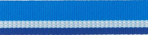 RuffWear Top Rope Collar koiran kaulapanta, Blue Pool Clearance