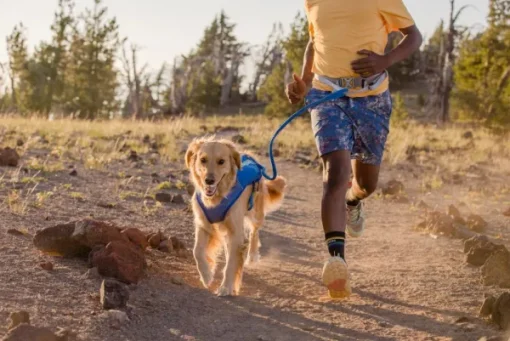 Trail Runner Belt juoksuvyö, keltainen-RuffWear Outlet