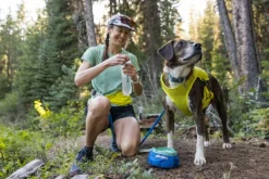RuffWear Trail Runner Running Vest koiran reppuliivi, keltainen New