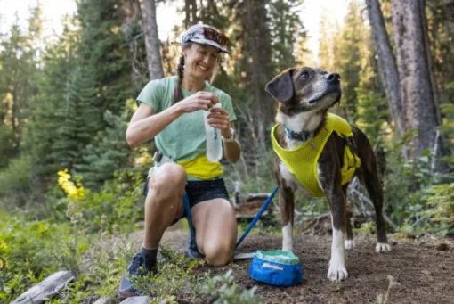 RuffWear Trail Runner Running Vest koiran reppuliivi, keltainen New