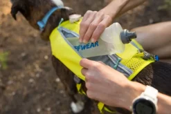 RuffWear Trail Runner Running Vest koiran reppuliivi, keltainen New