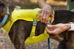 RuffWear Trail Runner Running Vest koiran reppuliivi, keltainen New