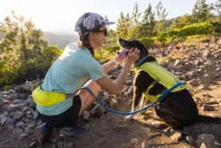 RuffWear Trail Runner Running Vest koiran reppuliivi, keltainen New