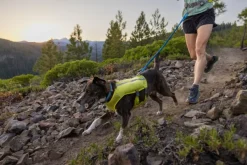 RuffWear Trail Runner Running Vest koiran reppuliivi, keltainen New