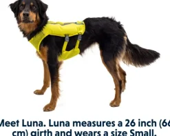 RuffWear Trail Runner Running Vest koiran reppuliivi, keltainen New