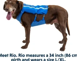 RuffWear Trail Runner Running Vest koiran reppuliivi, keltainen New
