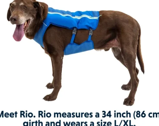 RuffWear Trail Runner Running Vest koiran reppuliivi, keltainen New