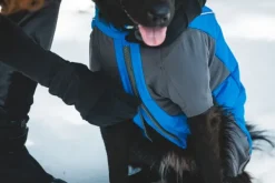 Vert Coverall koiran talvihaalari, M-XL, Blue Pool-RuffWear Outlet