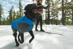 Vert Coverall koiran talvihaalari, M-XL, Blue Pool-RuffWear Outlet
