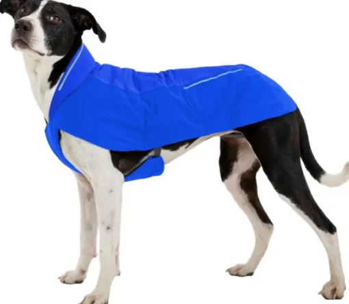 Vert Jacket koiran takki, XXS-S, Blue Pool-RuffWear Fashion