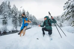 Vert Jacket koiran takki, XXS-S, Blue Pool-RuffWear Fashion