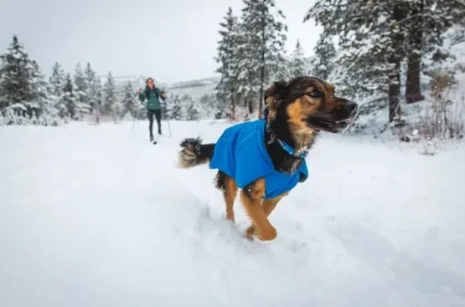 Vert Jacket koiran takki, XXS-S, Blue Pool-RuffWear Fashion