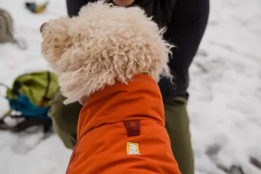 RuffWear Vert koiran talvitakki, Canyonlands Orange New