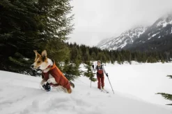RuffWear Vert koiran talvitakki, Canyonlands Orange New