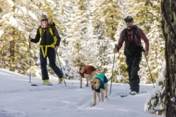 Vert koiran talvitakki, Aurora Teal-RuffWear Sale