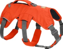 RuffWear Web Master Harness Blaze Orange (2024) Fashion