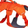 Web Master Harness Blaze Orange-RuffWear Best