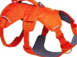 Web Master Harness Blaze Orange-RuffWear Best