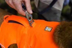 Web Master Harness Blaze Orange-RuffWear Best