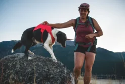 Web Master Harness River Rock Green-RuffWear Clearance