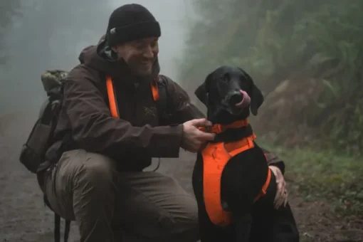 Web Master Harness Blaze Orange-RuffWear Best
