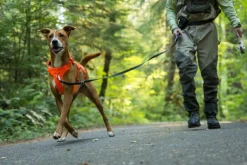 Web Master Harness River Rock Green-RuffWear Clearance