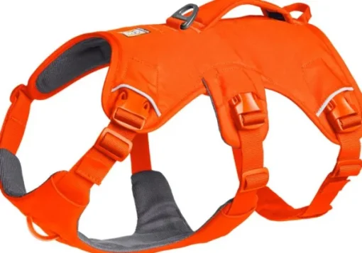 Web Master Harness Blaze Orange-RuffWear Best