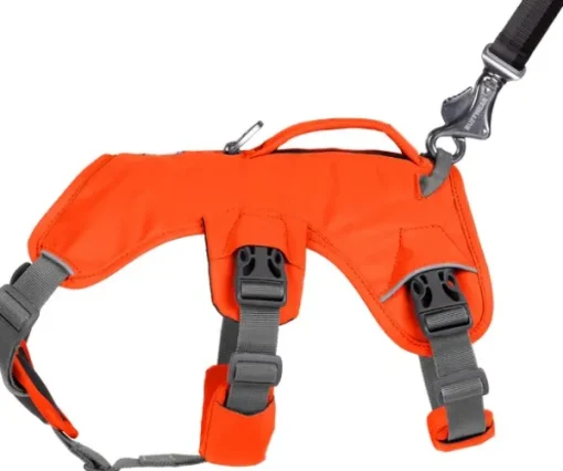 RuffWear Web Master Harness Blaze Orange (2024) Fashion