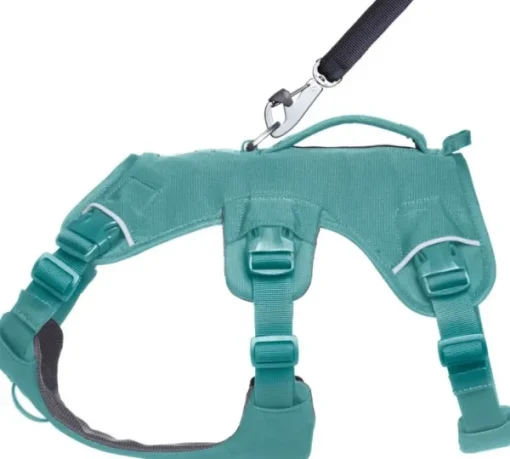Web Master Harness River Rock Green-RuffWear Clearance