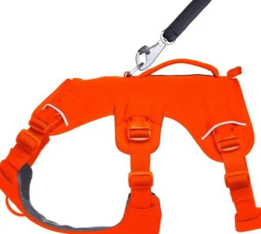 Web Master Harness Blaze Orange-RuffWear Best