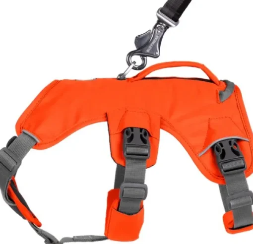 RuffWear Web Master Harness Blaze Orange (2024) Fashion