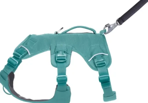 Web Master Harness River Rock Green-RuffWear Clearance