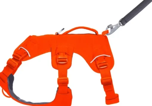 Web Master Harness Blaze Orange-RuffWear Best