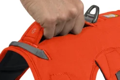 RuffWear Web Master Harness Blaze Orange (2024) Fashion