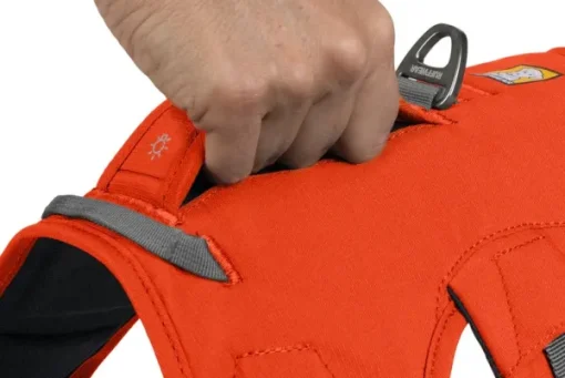 RuffWear Web Master Harness Blaze Orange (2024) Fashion