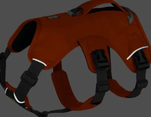 RuffWear Web Master Harness Blaze Orange (2024) Fashion