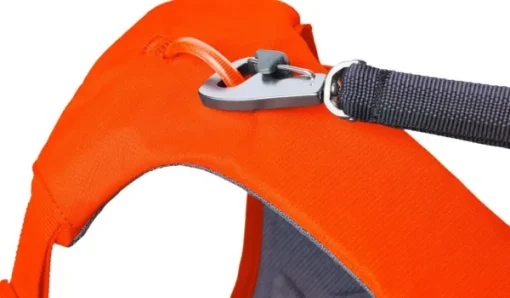 Web Master Harness Blaze Orange-RuffWear Best