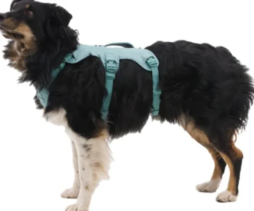 Web Master Harness River Rock Green-RuffWear Clearance