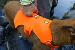 Web Master Harness Blaze Orange-RuffWear Best