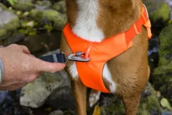 Web Master Harness Blaze Orange-RuffWear Best