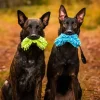 Fluffy Toy Turquoise-Rukka Discount