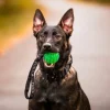 Rukka Gel Ball with Handle Green New