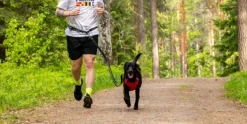 Hike Belt+Leash Red M-Rukka Discount